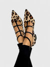 Leopardo / 36