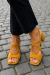 Amarelo mostarda / 34